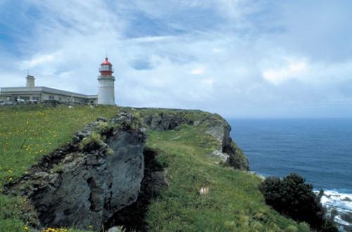 Carta Aberta, de Rosa Maciel