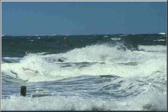 Kikas vence etapa do circuito de qualificação de surf nos Açores