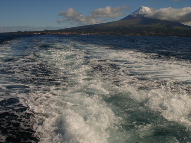Assembleia dos Açores aprova áreas marinhas protegidas em 30% do mar da região