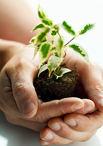 Pacto Climático de Glasgow mantém ambição de limitar temperatura a 1,5ºC