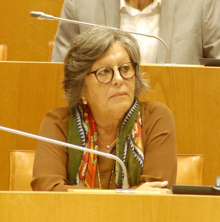 Zuraida Soares | ESTRATÉGIA POLÍTICA, PRECISA-SE! (I)