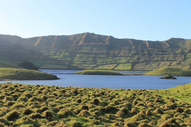 Observação de aves dinamiza turismo na pequena ilha do Corvo