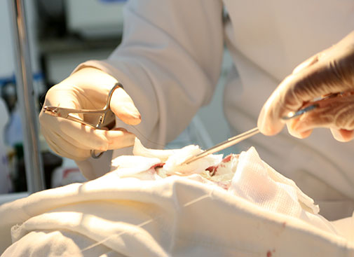 Mais de 11.600 utentes à espera de uma cirurgia nos Açores no final de setembro