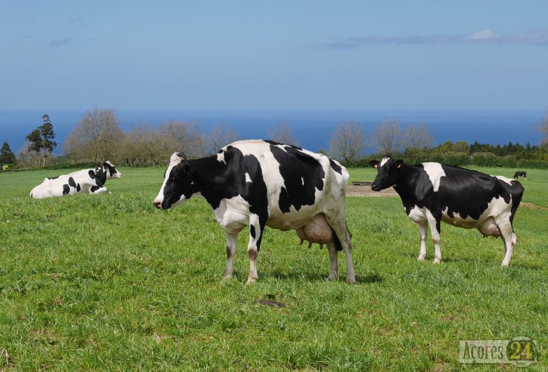 Executivo investe em solução digital inovadora na gestão dos laboratórios do SERCLA