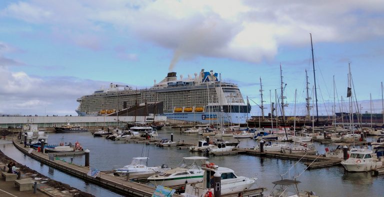 Associação de cruzeiros contra impostos sem ligação a indicadores ambientais em Portugal